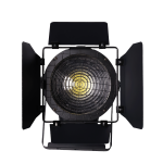 LED 200W Fresnel Spot Light